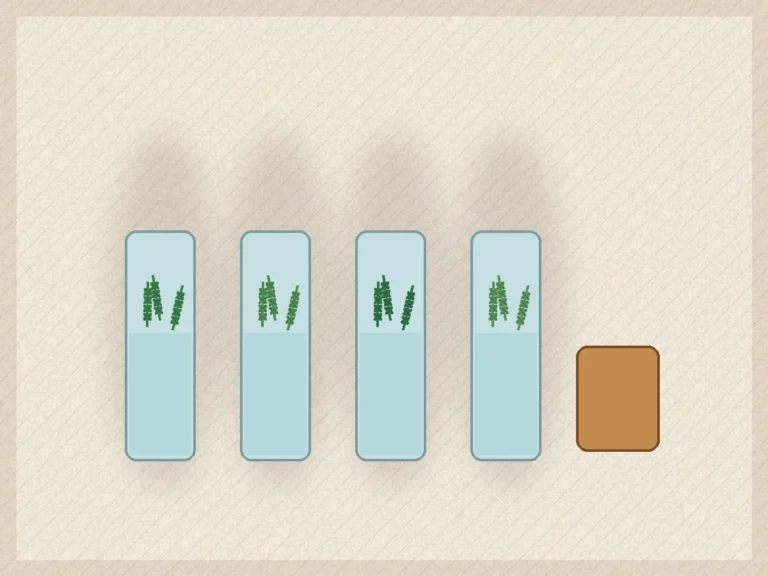 Fresh herbs stored in jars and loosely wrapped on a clean kitchen counter.